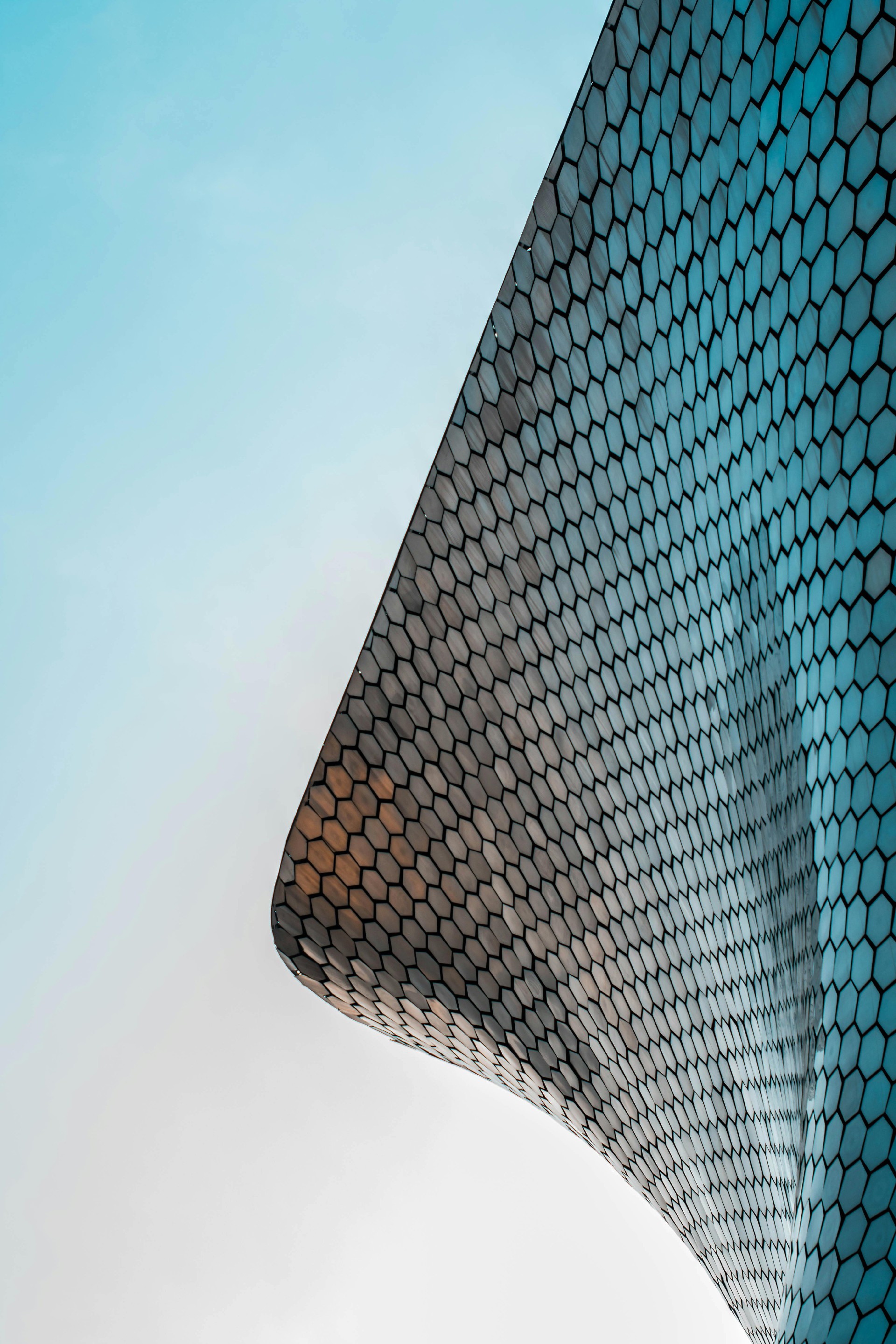 pexels-luis-ruiz-1774931.jpg